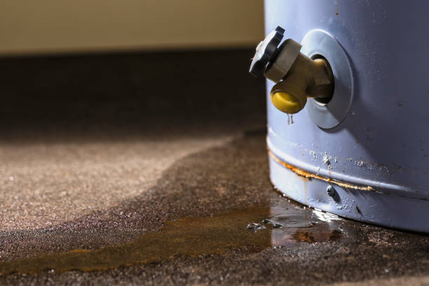 Best Sewage cleanup and water damage restoration  in Ben Wheeler, TX