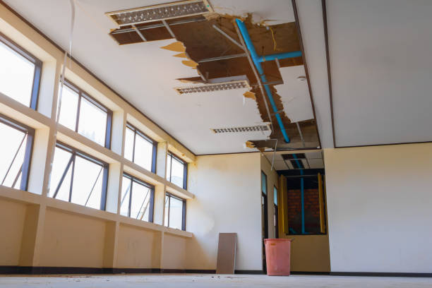 Best Flood damage cleanup  in Ben Wheeler, TX