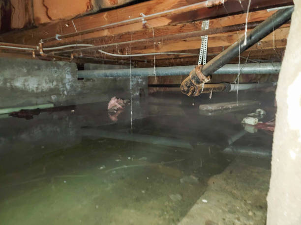Best Flooded house restoration  in Ben Wheeler, TX