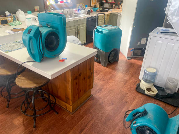Water damage restoration process in Ben Wheeler, TX