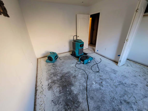Best Water damage contractors near me  in Ben Wheeler, TX