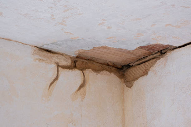 Best Carpet water damage restoration  in Ben Wheeler, TX
