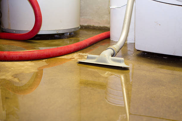 Best Water damage cleanup near me  in Ben Wheeler, TX