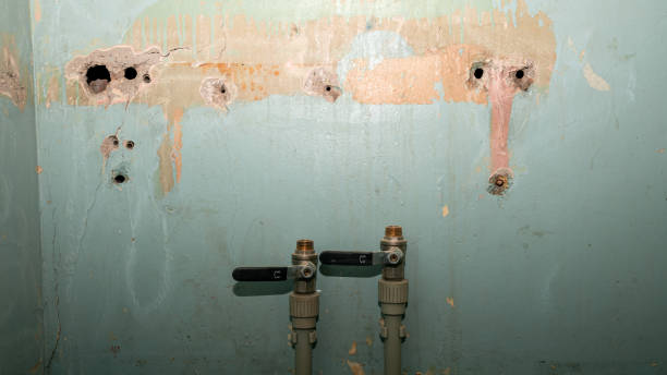 Best Water damage restoration near me  in Ben Wheeler, TX