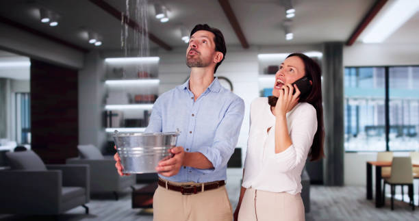 Best Local water damage restoration  in Ben Wheeler, TX